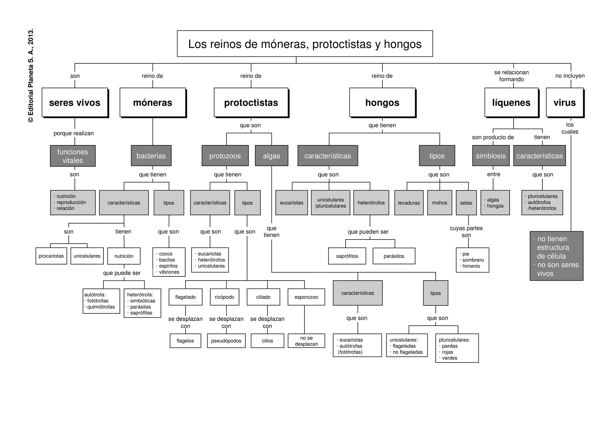 Microsoft PowerPoint - CN_07_10.pdf esquema | PDF