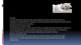 Los ojos
Los ojos del recién nacido son de color azulado o grisáceo. Hasta los 6 meses no
adquieren el color definitivo.También es normal la aparición de estrabismo intermitente
(cruzan los ojos de vez en cuando).
El abultamiento de las mamas
Puede aparecer tanto en niñas como en niños y se debe al paso de hormonas maternas a
través de la placenta.A veces pueden segregar unas gotas de leche. Es transitorio y
normal. No hay que tocarlas ni exprimirlas porque se pueden infectar.
El hipo y los estornudos
Son normales el hipo y los estornudos en el recién nacido, no requiriendo ningún
tratamiento.Ya tenía hipo dentro del útero y le sirve para entrenar los músculos
respiratorios.
 