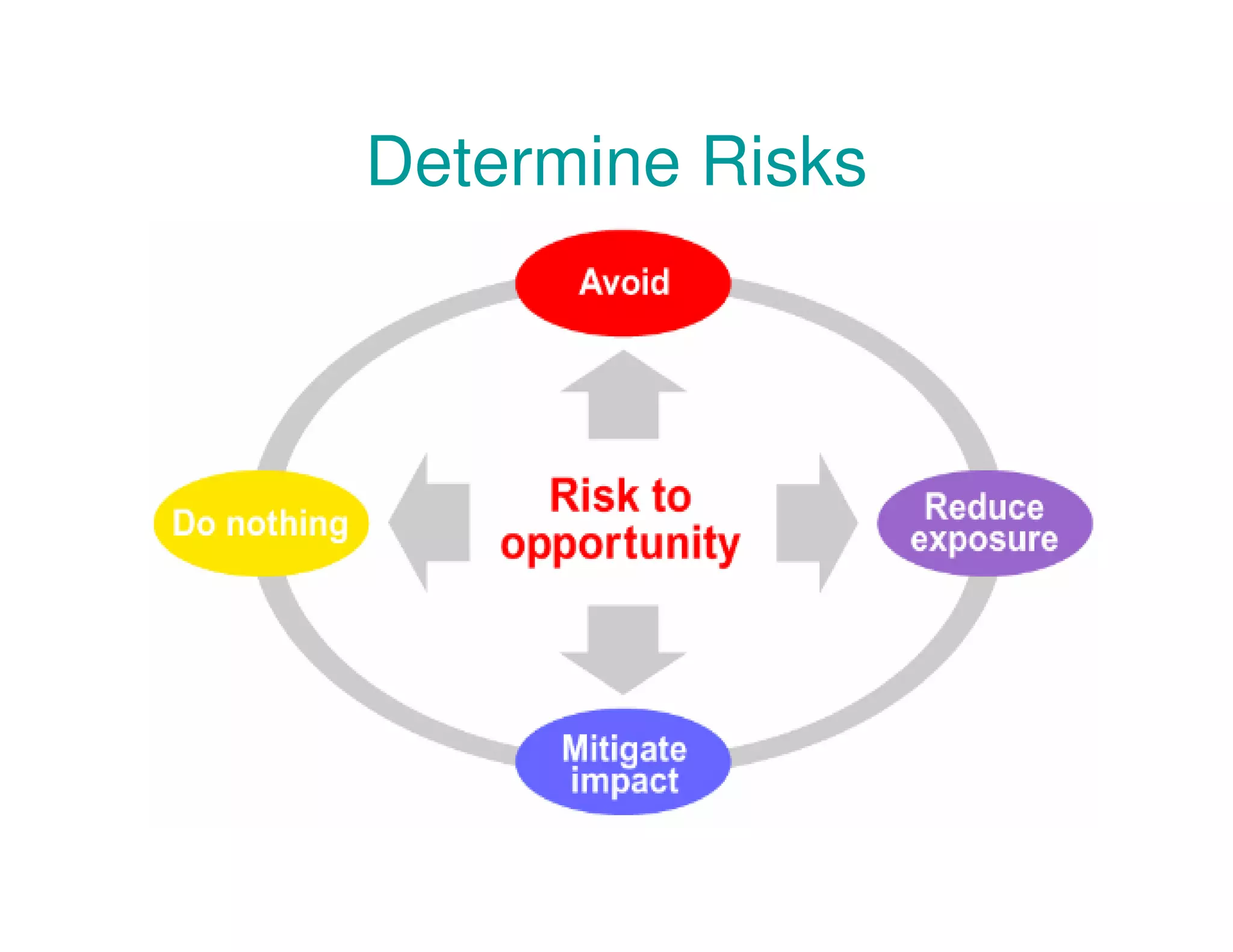 Determine Risks