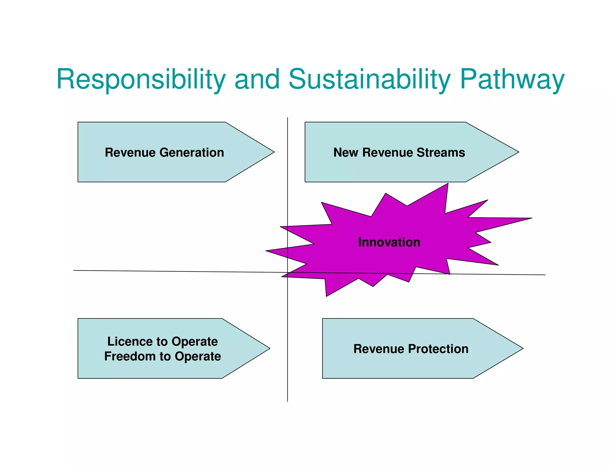 Responsibility and Sustainability Pathway
Revenue Generation New Revenue Streams
Innovation
Licence to Operate
Revenue Protection
Freedom to Operate