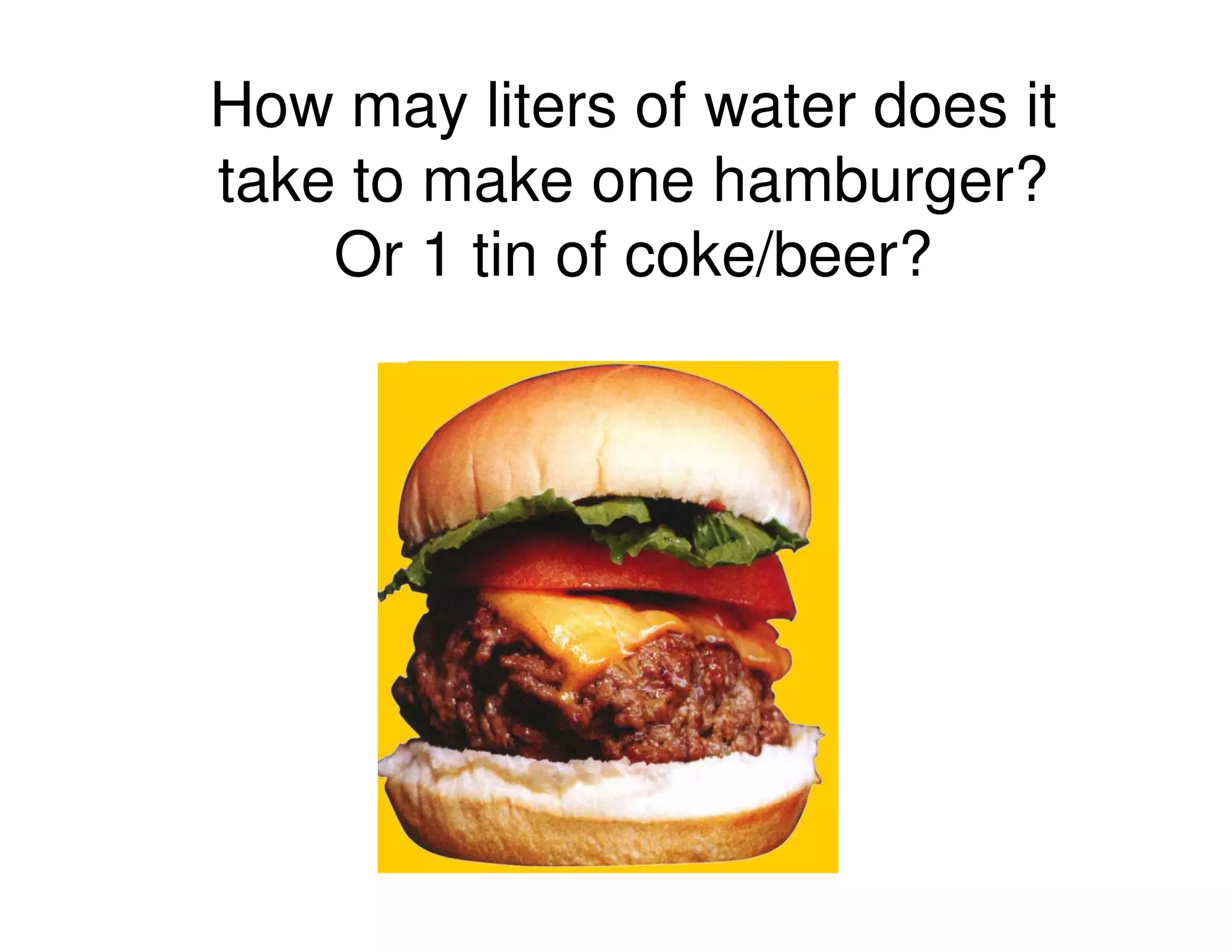 How may liters of water does it
take to make one hamburger?
Or 1 tin of coke/beer?