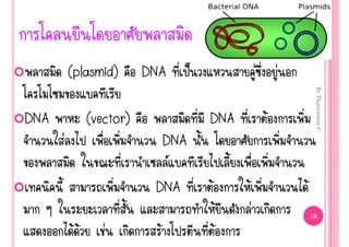 (plasmid)        DNA     š                       ‹       ‹




                                                                            By Thanyamon C.
DNA             (vector)               DNA                     Œ
      ‹                      DNA
                              
                            DNA        Œ           Œ                   Œ
                                               Œ       ‹                   10

           ŒŒ      ‹         Œ             Œ
 