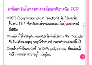 PCR
PCR (polymerase chain reaction)
  ‹ DNA        Œ                        ‹         




                                                       By Thanyamon C.
             Œ   ˜                  ‹ thermocycler
       š                 Œ                      Œ
            Œ           DNA polymerase     Œ Œ
   Œ                 ‹     Œ                          12
 