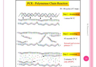 By Thanyamon C.
                  14
 