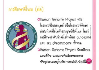 (‹)
 Human Genome Project
               š




                           By Thanyamon C.
                  
                   autosome
    sex chromosome
 Human Genome Project

          ‹               21
                                             
 