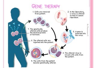 By Thanyamon C.
                                 24
GENE THERAPY
 