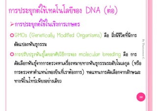  Œ                    DNA ( ‹ )
                  Œ
GMOs (Genetically Modified Organisms)
                           Organisms)




                                                             By Thanyamon C.
                                  molecular breeding
                                                       (
                       ‹       Œ    )
    ‚    Š                 ‹

                                                            30
 