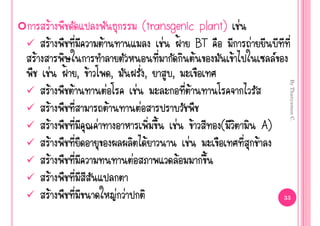 Œ                                                       (transgenic plant) ‹
    Œ                             Œ                                ‹ ‡ BT           ‹
Œ                                                                             Œ   Œ        
    ‹                 ‡ , Œ                   ,                ,     ,




                                                                                                By Thanyamon C.
        Œ               Œ             ‹                   ‹                 Œ
          Œ                               Œ                 ‹
            Œ                 ‹                                        ‹ Œ      (       A)
                  Œ                                             Œ         ‹           Œ
      Œ                                                 ‹               Œ
              Œ
                Œ                                 ‹ ‹                                          33
 