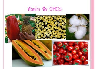 By Thanyamon C.
                         34
GMOS
‹
 