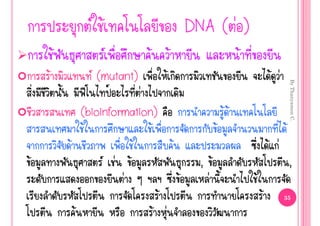  Œ                           DNA ( ‹ )
        Œ                          Œ    Œ                       Œ
    Œ                 (mutant)         Œ                                    Œ ‹




                                                                                       By Thanyamon C.
                   ‚      Š     ‹
                (bioinformation)                            ŒŒ
                 Œ                Œ                     Œ                          Œ
            Œ                 Œ           Œ                                  Œ ‹
Œ                        ‹ Œ                     , Œ                                  ,
                            ‹               Œ       ‹                Œ
                                     Œ                                   Œ         35

              Œ                     Œ ‹
 