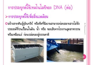  Œ                   DNA ( ‹ )
                  Œ                Œ
Œ                                        ‹        ‹




                                                         By Thanyamon C.
           „œ
        ‹ ‹             ‹       ‹



                                                        36
 