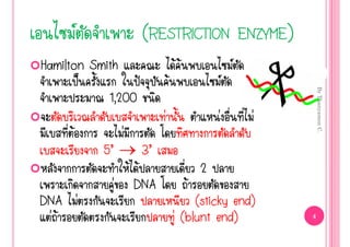            (RESTRICTION ENZYME)
Hamilton Smith                   ŒŒ                   
       š          ˜          Œ                    




                                                                  By Thanyamon C.
            1,200
                         ‹                    ‹           ‹
      Œ          ‹
              5’ → 3’
                   Œ Œ                    2
                ‹ DNA                 Œ
DNA ‹                                 (sticky end)
  ‹Œ                             ‹ (blunt end)                4
 