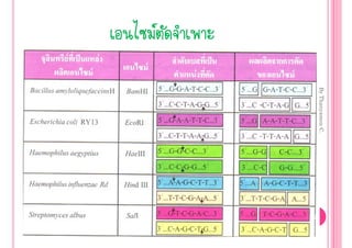 By Thanyamon C.
                      5

 