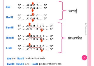 By Thanyamon C.
                      6
‹
 