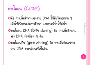 (CLONE)
                 DNA Œ
Œ        ‹                Œ‹




                                   By Thanyamon C.
      DNA (DNA cloning)
DNA
    (gene cloning)
DNA           š
                               9
 