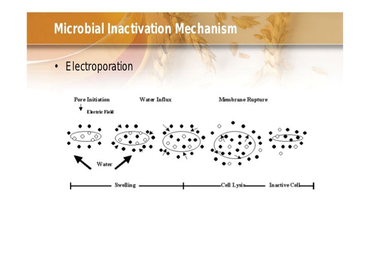 NOVEL Food Processing Technologies Emerging Applications, Research a…
