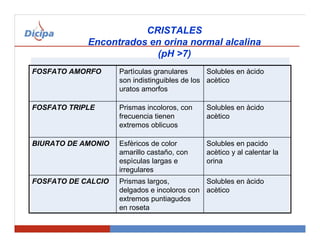 Microsoft power point estandarizacion sedim | PDF