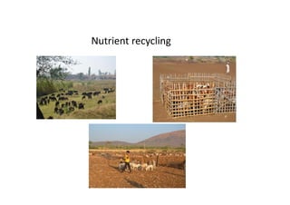 Nutrient recycling
 