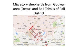Migratory shepherds from Godwar
area (Desuri and Bali Tehsils of Pali
District
 