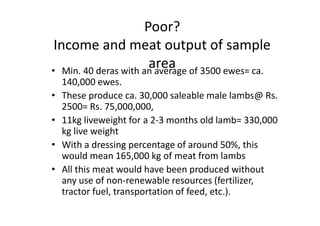 Poor?
Income and meat output of sample
area• Min. 40 deras with an average of 3500 ewes= ca.
140,000 ewes.
• These produce ca. 30,000 saleable male lambs@ Rs.
2500= Rs. 75,000,000,
• 11kg liveweight for a 2-3 months old lamb= 330,000
kg live weight
• With a dressing percentage of around 50%, this
would mean 165,000 kg of meat from lambs
• All this meat would have been produced without
any use of non-renewable resources (fertilizer,
tractor fuel, transportation of feed, etc.).
• Min. 40 deras with an average of 3500 ewes= ca.
140,000 ewes.
• These produce ca. 30,000 saleable male lambs@ Rs.
2500= Rs. 75,000,000,
• 11kg liveweight for a 2-3 months old lamb= 330,000
kg live weight
• With a dressing percentage of around 50%, this
would mean 165,000 kg of meat from lambs
• All this meat would have been produced without
any use of non-renewable resources (fertilizer,
tractor fuel, transportation of feed, etc.).
 