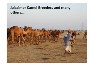 Jaisalmer Camel Breeders and many
others....
 
