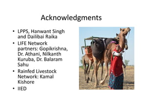 Acknowledgments
• LPPS, Hanwant Singh
and Dailibai Raika
• LIFE Network
partners: Gopikrishna,
Dr. Athani, Nilkanth
Kuruba, Dr. Balaram
Sahu
• Rainfed Livestock
Network: Kamal
Kishore
• IIED
• LPPS, Hanwant Singh
and Dailibai Raika
• LIFE Network
partners: Gopikrishna,
Dr. Athani, Nilkanth
Kuruba, Dr. Balaram
Sahu
• Rainfed Livestock
Network: Kamal
Kishore
• IIED
 