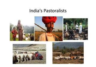 India‘s Pastoralists
 