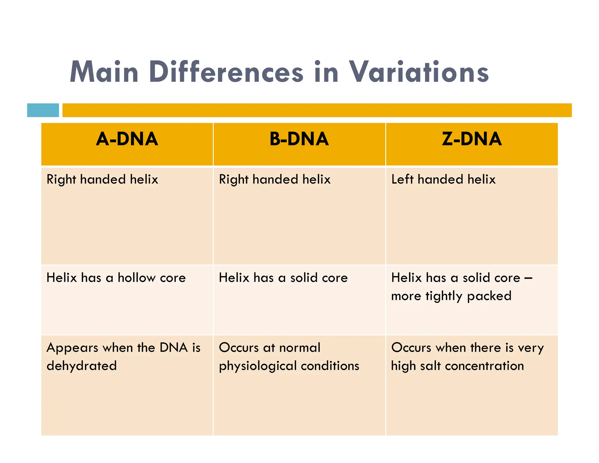 Main Differences in Variations
A-DNA B-DNA Z-DNA
Right handed helix Right handed helix Left handed helix
Helix has a hollow core Helix has a solid core Helix has a solid core –
more tightly packed
Appears when the DNA is
dehydrated
Occurs at normal
physiological conditions
Occurs when there is very
high salt concentration
 