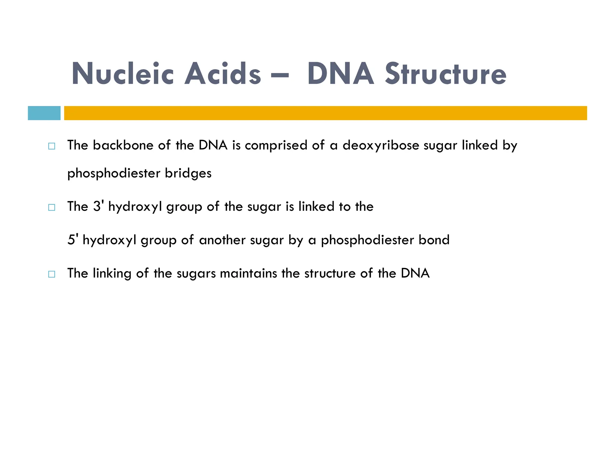 Nucleic Acids – DNA Structure
 The backbone of the DNA is comprised of a deoxyribose sugar linked by
phosphodiester bridges
 The 3' hydroxyl group of the sugar is linked to the
5' hydroxyl group of another sugar by a phosphodiester bond
5' hydroxyl group of another sugar by a phosphodiester bond
 The linking of the sugars maintains the structure of the DNA
 