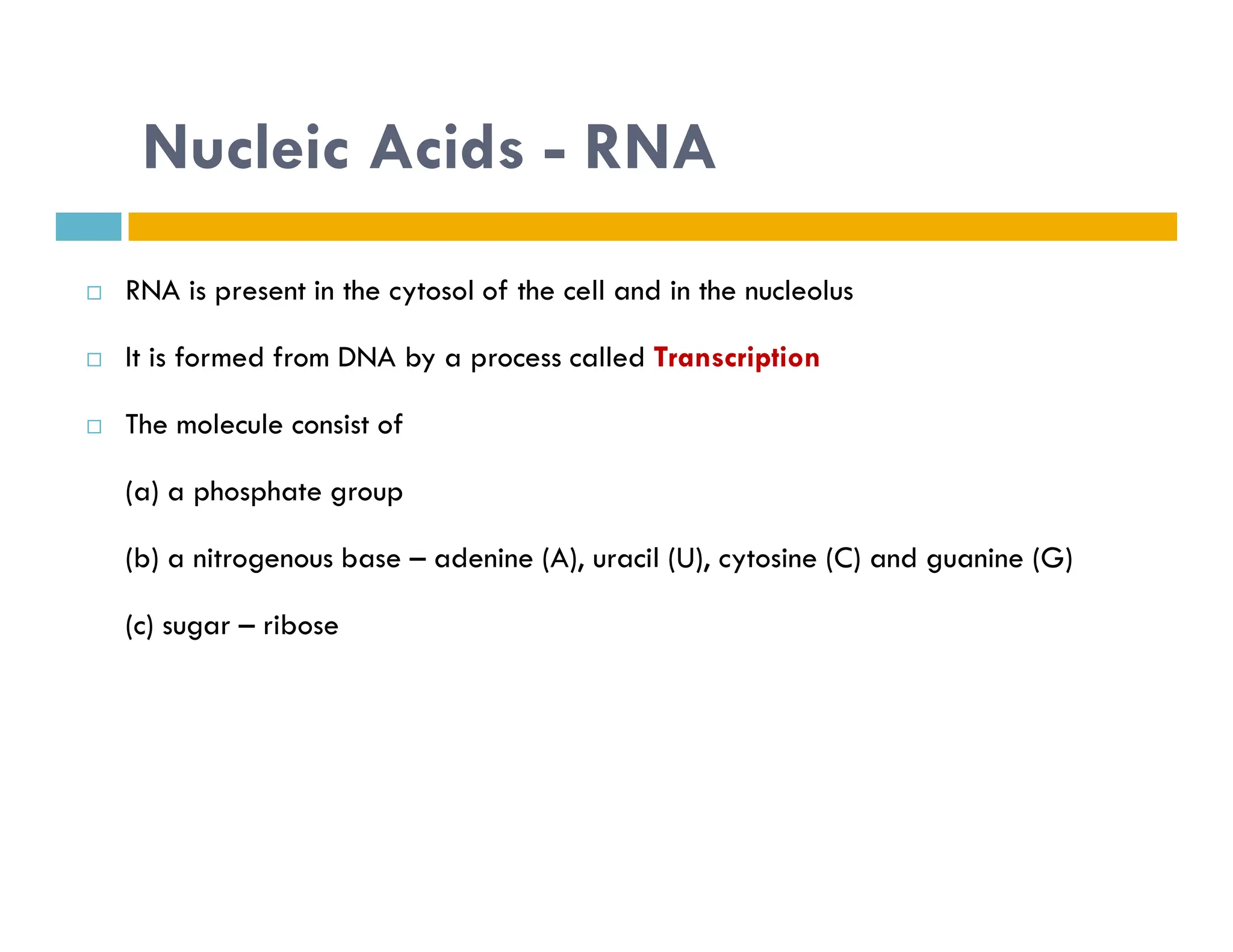 Nucleic Acids - RNA
 RNA is present in the cytosol of the cell and in the nucleolus
 It is formed from DNA by a process called Transcription
 The molecule consist of
(a) a phosphate group
(a) a phosphate group
(b) a nitrogenous base – adenine (A), uracil (U), cytosine (C) and guanine (G)
(c) sugar – ribose
 