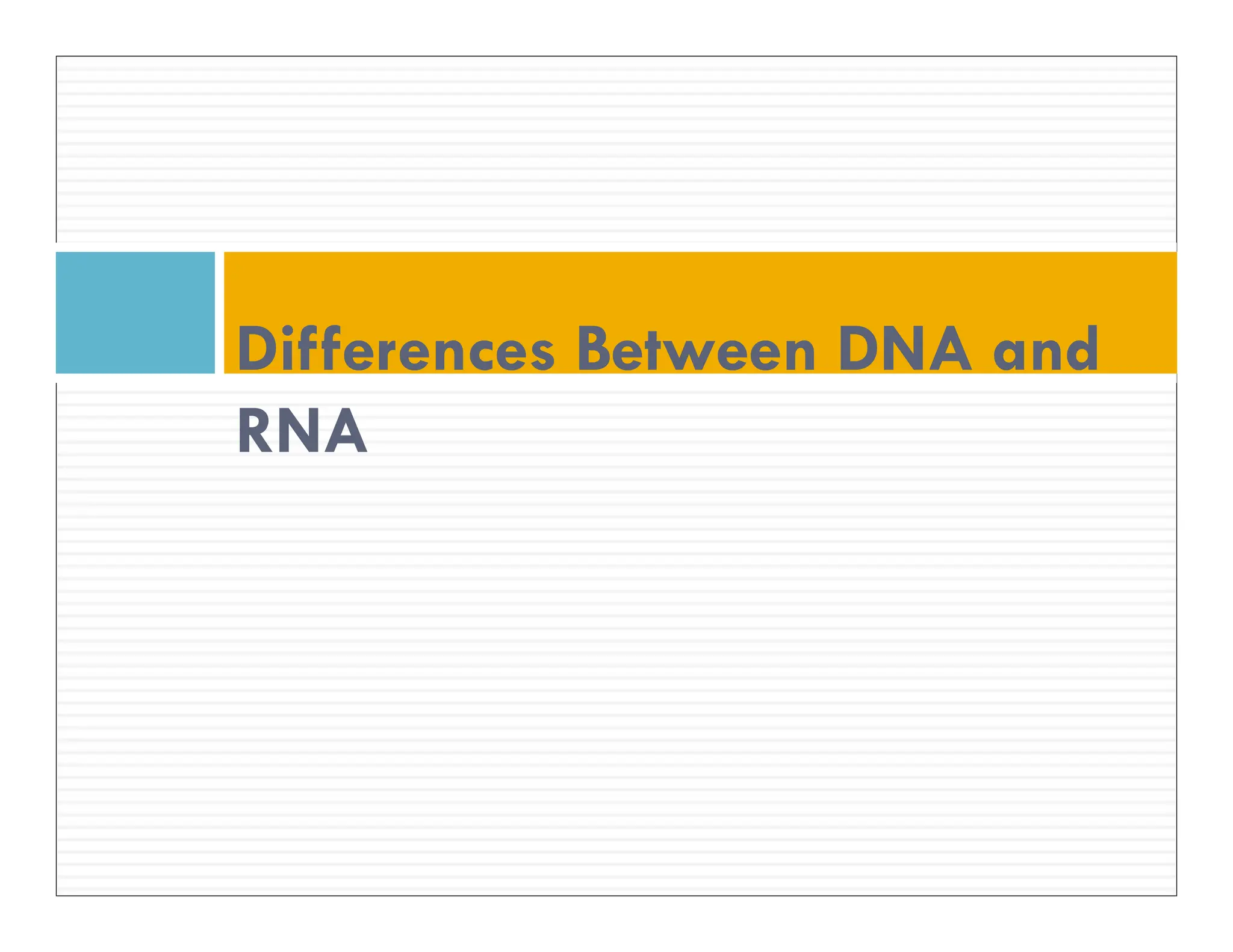 Differences Between DNA and
RNA
 