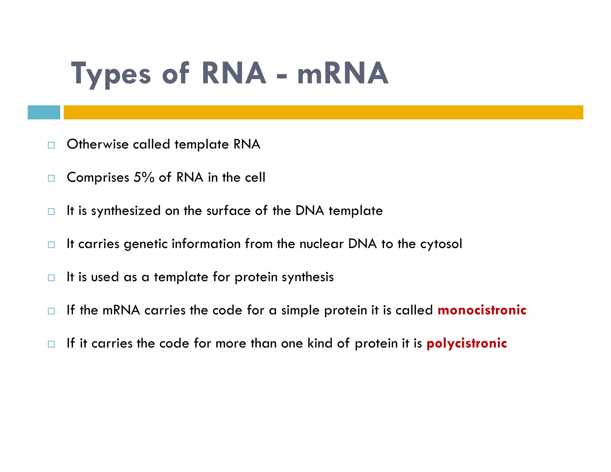 Types of RNA - mRNA
 Otherwise called template RNA
 Comprises 5% of RNA in the cell
 It is synthesized on the surface of the DNA template
It carries genetic information from the nuclear DNA to the cytosol
 It carries genetic information from the nuclear DNA to the cytosol
 It is used as a template for protein synthesis
 If the mRNA carries the code for a simple protein it is called monocistronic
 If it carries the code for more than one kind of protein it is polycistronic
 