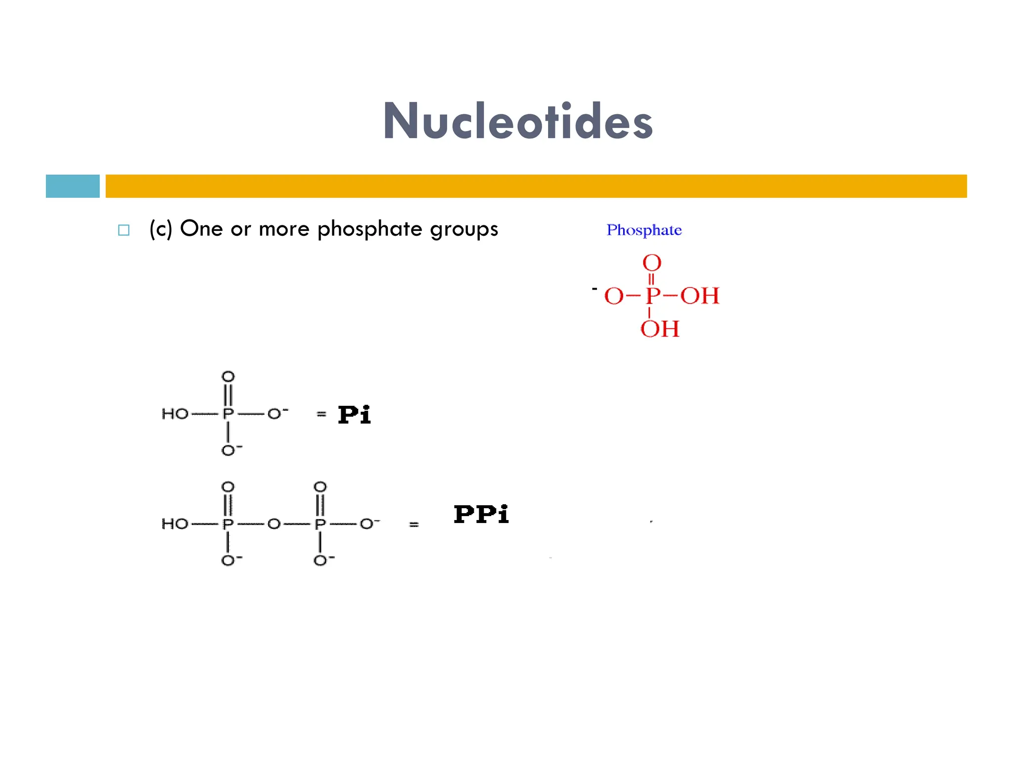 Nucleotides
 (c) One or more phosphate groups
 