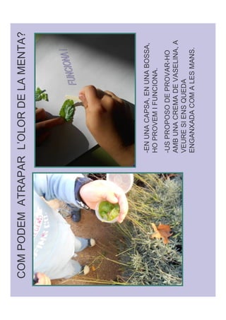 %   (   $   (       #                          $ !




                             % (
                &       (       '     %'
                        (    (        (    &
                                %          '
                              '
                    *       .     %
 