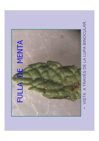 1   ' $   $   -   (   '   %
 