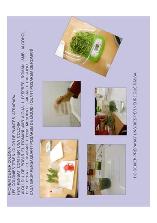 (              %   , '
   % , '   $                      (       $        $     (
&   (   $ %                  %         , '
  */ '     (                          )           '*         '       ( -           )       % &
&     (  $                ) ' &                        $      # '*     ' #   % &
%   * ((                 $(                   )        ' '           $(                )




      &    '.      (     (   $            '   (                         (
 