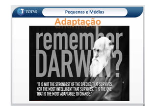 Pequenas e Médias
48
 