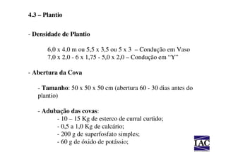 4.3 – Plantio

- Densidade de Plantio

       6,0 x 4,0 m ou 5,5 x 3,5 ou 5 x 3 – Condução em Vaso
       7,0 x 2,0 - 6 x 1,75 - 5,0 x 2,0 – Condução em “Y”

- Abertura da Cova

   - Tamanho: 50 x 50 x 50 cm (abertura 60 - 30 dias antes do
   plantio)

   - Adubação das covas:
         - 10 – 15 Kg de esterco de curral curtido;
         - 0,5 a 1,0 Kg de calcário;
         - 200 g de superfosfato simples;
         - 60 g de óxido de potássio;
 