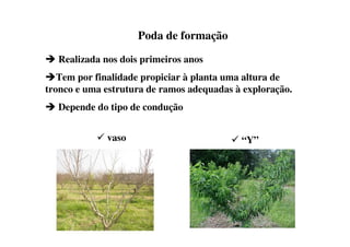 Poda de formação

  Realizada nos dois primeiros anos
   Tem por finalidade propiciar à planta uma altura de
tronco e uma estrutura de ramos adequadas à exploração.
  Depende do tipo de condução


             vaso                          “Y”
 
