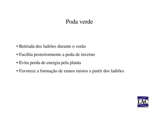 Poda verde


• Retirada dos ladrões durante o verão
• Facilita posteriormente a poda de inverno
• Evita perda de energia pela planta
• Favorece a formação de ramos mistos a partir dos ladrões
 