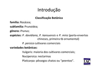 Introdução
                    Classificação Botânica
família: Rosácea;
subfamília: Prunoidea;
gênero: Prunus;
espécies: P. davidiana, P. kansuensis e P. mira (porta-enxertos
                       chineses, primeira tb ornamental)
          P. persica cultivares comerciais
variedades botânicas:
          Vulgaris: maioria dos cultivares comerciais;
          Nucipersica: nectarinas
          Platicarpa: pêssegos chatos ou “peentoo”.
 