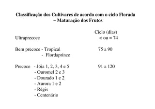 Classificação dos Cultivares de acordo com o ciclo Florada
                   – Maturação dos Frutos

                                      Ciclo (dias)
Ultraprecoce                            < ou = 74

Bem precoce - Tropical                  75 a 90
            - Flordaprince

Precoce - Jóia 1, 2, 3, 4 e 5           91 a 120
        - Ouromel 2 e 3
        - Dourado 1 e 2
        - Aurora 1 e 2
        - Régis
        - Centenário
 