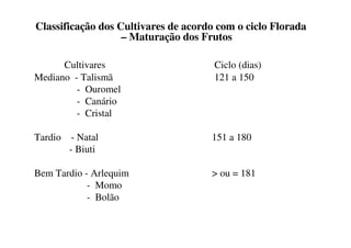 Classificação dos Cultivares de acordo com o ciclo Florada
                   – Maturação dos Frutos

      Cultivares                      Ciclo (dias)
Mediano - Talismã                     121 a 150
         - Ouromel
         - Canário
         - Cristal

Tardio - Natal                       151 a 180
       - Biuti

Bem Tardio - Arlequim                > ou = 181
            - Momo
            - Bolão
 
