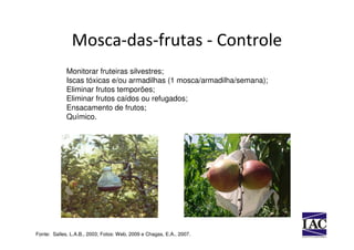 Mosca-das-frutas - Controle
             Monitorar fruteiras silvestres;
             Iscas tóxicas e/ou armadilhas (1 mosca/armadilha/semana);
             Eliminar frutos temporões;
             Eliminar frutos caídos ou refugados;
             Ensacamento de frutos;
             Químico.




Fonte: Salles, L.A.B., 2003; Fotos: Web, 2009 e Chagas, E.A., 2007.
 