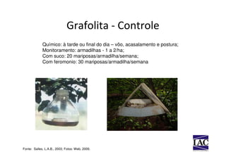 Grafolita - Controle
             Químico: à tarde ou final do dia – vôo, acasalamento e postura;
             Monitoramento: armadilhas - 1 a 2/ha;
             Com suco: 20 mariposas/armadilha/semana;
             Com feromonio: 30 mariposas/armadilha/semana




Fonte: Salles, L.A.B., 2003; Fotos: Web, 2009.
 