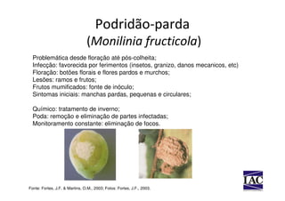 Podridão-parda
                                (Monilinia fructicola)
  Problemática desde floração até pós-colheita;
  Infecção: favorecida por ferimentos (insetos, granizo, danos mecanicos, etc)
  Floração: botões florais e flores pardos e murchos;
  Lesões: ramos e frutos;
  Frutos mumificados: fonte de inóculo;
  Sintomas iniciais: manchas pardas, pequenas e circulares;

  Químico: tratamento de inverno;
  Poda: remoção e eliminação de partes infectadas;
  Monitoramento constante: eliminação de focos.




Fonte: Fortes, J.F. & Martins, O.M., 2003; Fotos: Fortes, J.F., 2003.
 