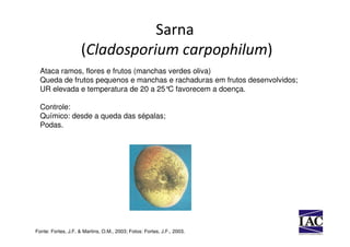 Sarna
                     (Cladosporium carpophilum)
  Ataca ramos, flores e frutos (manchas verdes oliva)
  Queda de frutos pequenos e manchas e rachaduras em frutos desenvolvidos;
  UR elevada e temperatura de 20 a 25°C favorecem a doença.

  Controle:
  Químico: desde a queda das sépalas;
  Podas.




Fonte: Fortes, J.F. & Martins, O.M., 2003; Fotos: Fortes, J.F., 2003.
 