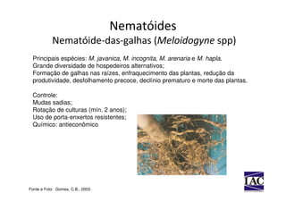 Nematóides
           Nematóide-das-galhas (Meloidogyne spp)
 Principais espécies: M. javanica, M. incognita, M. arenaria e M. hapla.
 Grande diversidade de hospedeiros alternativos;
 Formação de galhas nas raízes, enfraquecimento das plantas, redução da
 produtividade, desfolhamento precoce, declínio prematuro e morte das plantas.

 Controle:
 Mudas sadias;
 Rotação de culturas (mín. 2 anos);
 Uso de porta-enxertos resistentes;
 Químico: antieconômico




Fonte e Foto: Gomes, C.B., 2003.
 