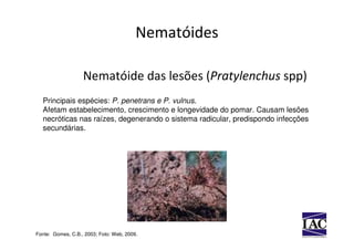 Nematóides

                   Nematóide das lesões (Pratylenchus spp)
  Principais espécies: P. penetrans e P. vulnus.
  Afetam estabelecimento, crescimento e longevidade do pomar. Causam lesões
  necróticas nas raízes, degenerando o sistema radicular, predispondo infecções
  secundárias.




Fonte: Gomes, C.B., 2003; Foto: Web, 2009.
 