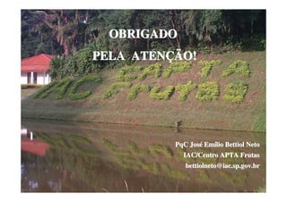 OBRIGADO
PELA ATENÇÃO!




          PqC José Emílio Bettiol Neto
             IAC/Centro APTA Frutas
             bettiolneto@iac.sp.gov.br
 